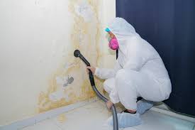 Mold Removal for HVAC Installations in Dunlap, IA